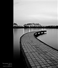 dailyPhoto23